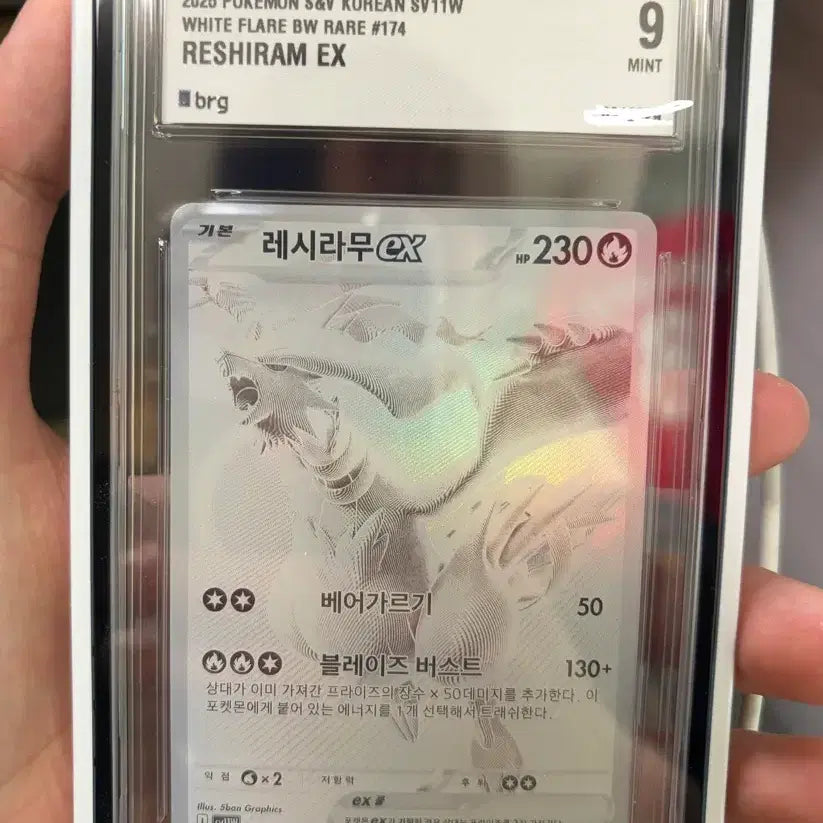 [SOLD OUT] 레시라무 bwr brg9