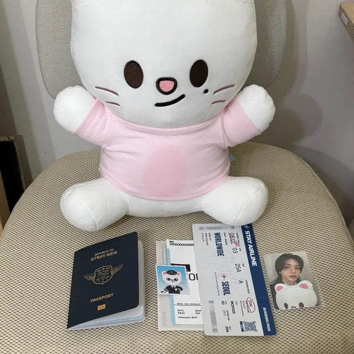 [BUNJANG] Stray Kids Jiniret Hug Me Doll + Popup Exclusive Photocard Bundle / 스키즈 스키주 지니렛 허그미 나안아 인형 + 팝업 입장특전