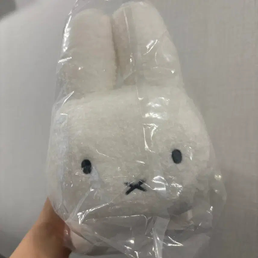[SOLD OUT] 미피 인형