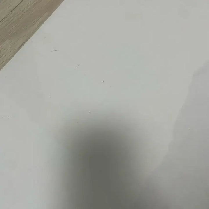 [BUNJANG] Park Ji Hoon Wanna One Scroll Poster / 8월 10일까지만 판매)박지훈 족자봉 포스터