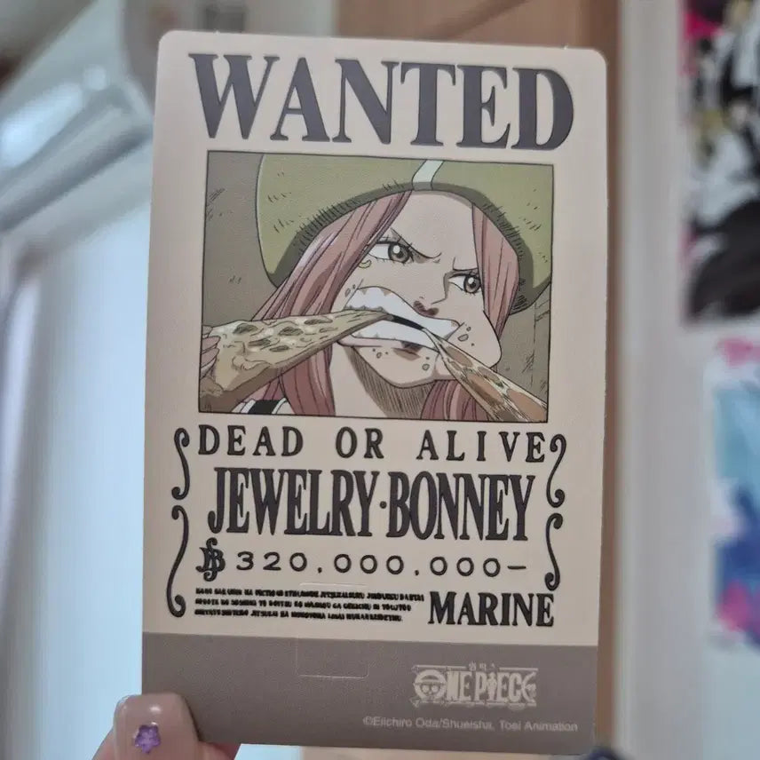 [BUNJANG] One Piece Bonney Card Sticker / 원피스 카드스티커 보니