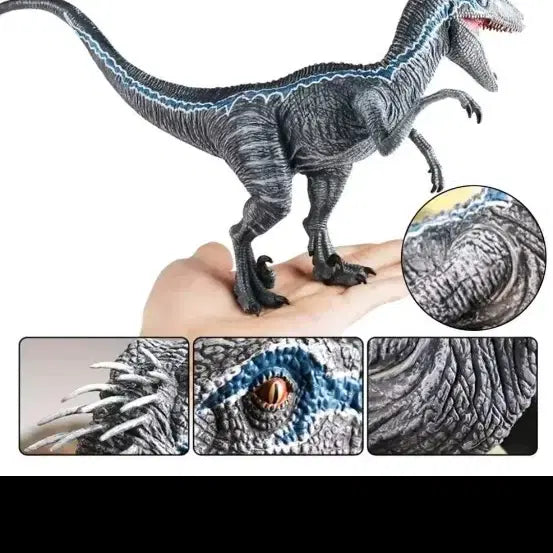 [BUNJANG] Jurassic World Blue Raptor Figure 33cm / 쥬라기월드 블루 랩터 피규어 33cm