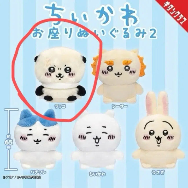 [SOLD OUT] 치이카와 앉은 누이 랏코 인형 가챠
