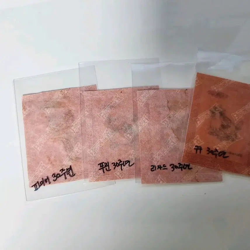 [BUNJANG] Pokemon Stickers Bundle / 포켓몬 띠부씰