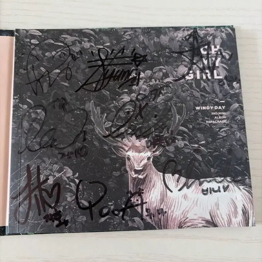 [BUNJANG] Oh My Girl Windy Day Signed Album / 오마이걸 친필싸인앨범