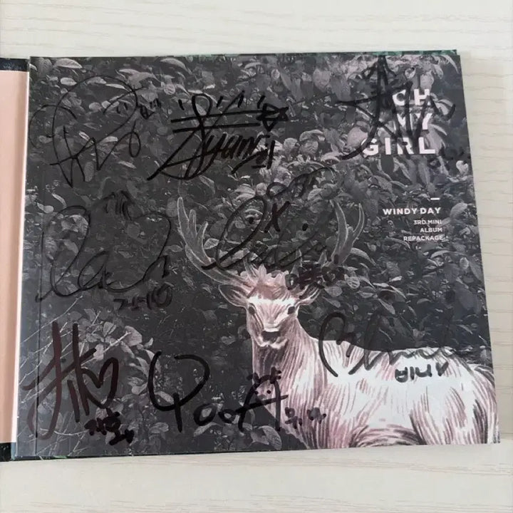 [BUNJANG] Oh My Girl Windy Day Signed Album / 오마이걸 친필싸인앨범
