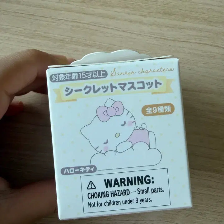 [BUNJANG] Sanrio Nap Series Random Fluffy Figure - Hanamaru / 산리오 낮잠시리즈 랜덤 플로키 피규어 하나마루