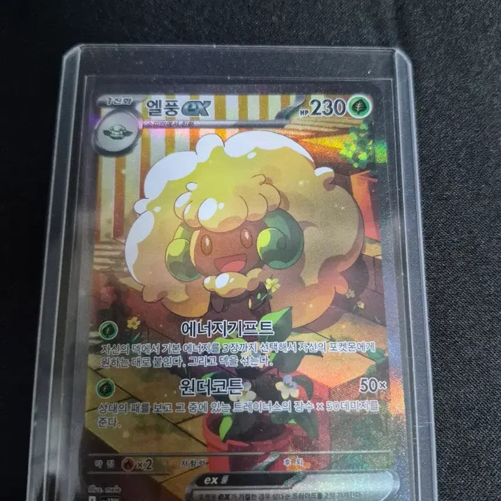 [BUNJANG] Blazing Heart AR &amp; Other Pokémon Cards Bundle / 심향의 블레이범 및 2장