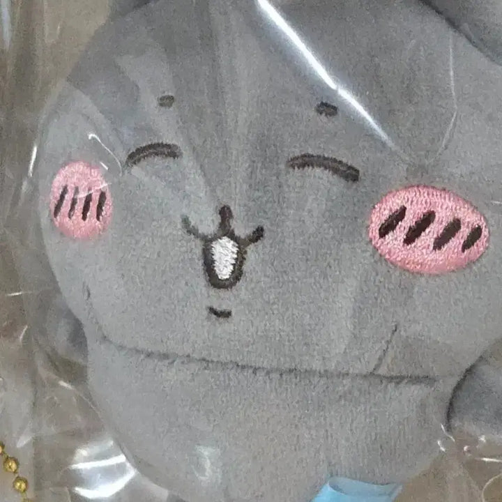 [BUNJANG] Hachiwara and Friends Mascot / 하치와레와친구들 마스코트
