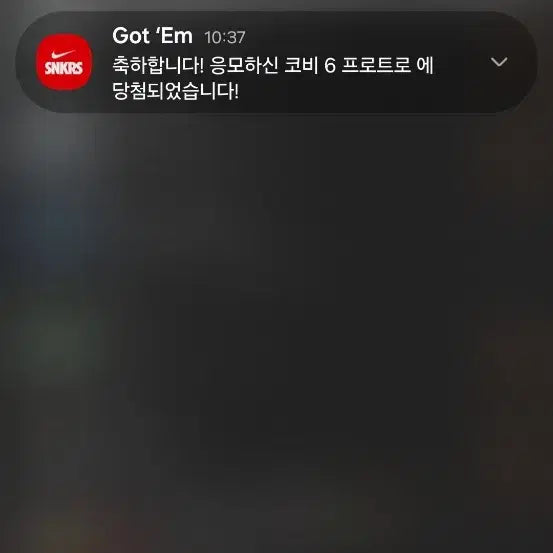 [SOLD OUT] 나이키 코비6 3d 새상품
