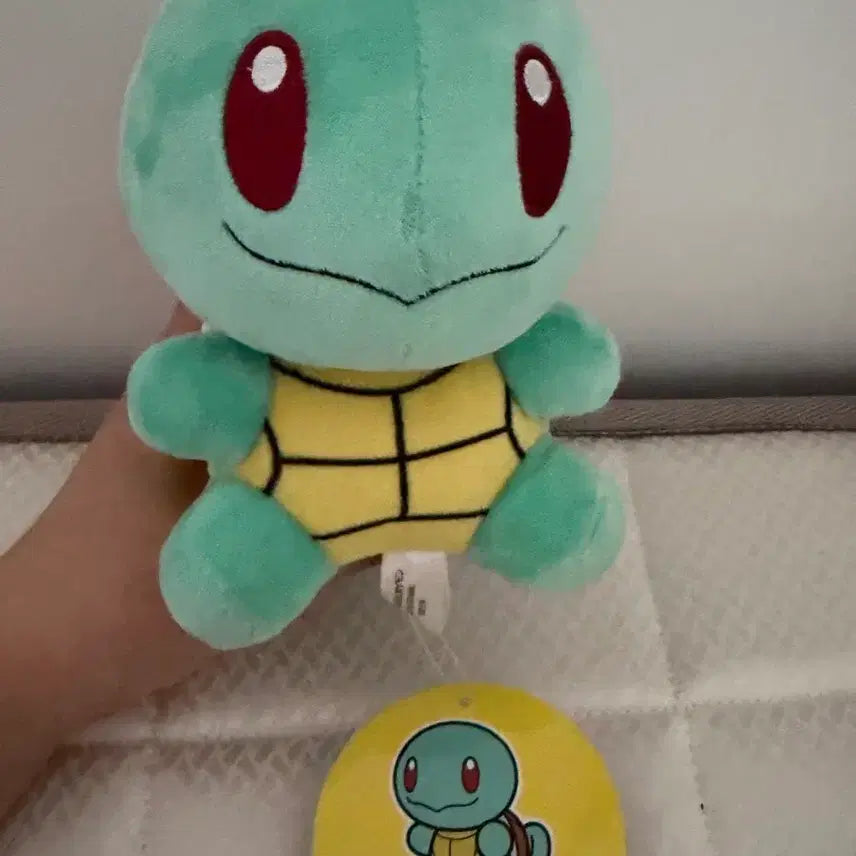 [SOLD OUT] 포켓몬 꼬북이 파이리 돌즈버전 인형