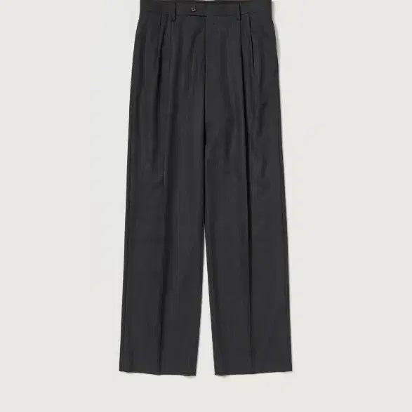 [BUNJANG] Auralee 26ss Ultra Fine Tropical Wool Two-Tuck Slacks / (새상품) 26ss 오라리 슬랙스 (울트라 파인 트로피컬 울 투턱 슬랙스