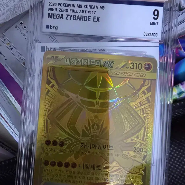 [SOLD OUT] 포켓몬카드 메가지가르데ex mur brg9
