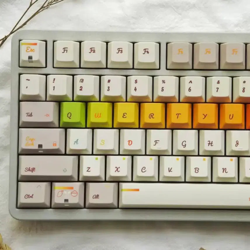 [BUNJANG] PBT Rainbow Mango Keycap Set / Pbt 레인보우 망고 키캡 (1.7mm)