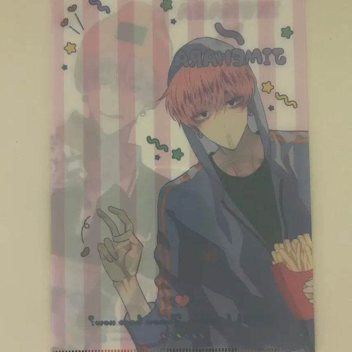 [BUNJANG] Tamon-kun File Holder / 타몬군 지금 어느쪽 타몬 파일홀더