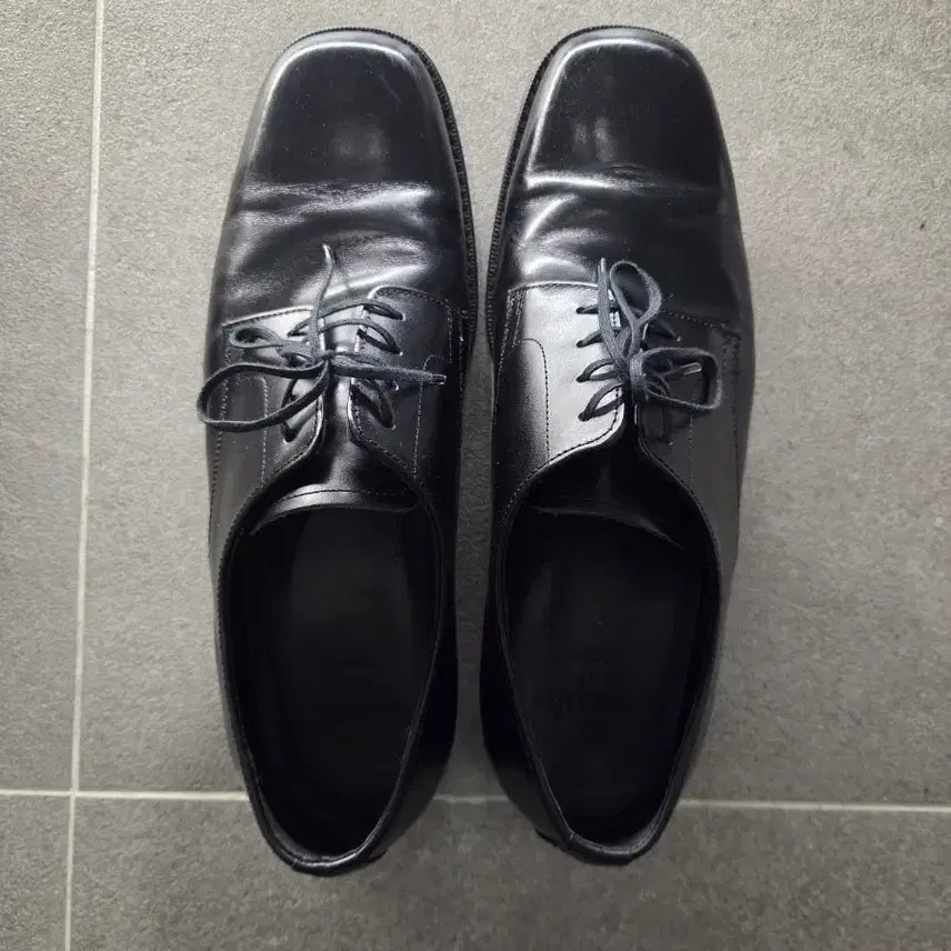 [BUNJANG] JOSSEPUL Paul Derby Shoes / 조셉트 paul 더비 슈즈