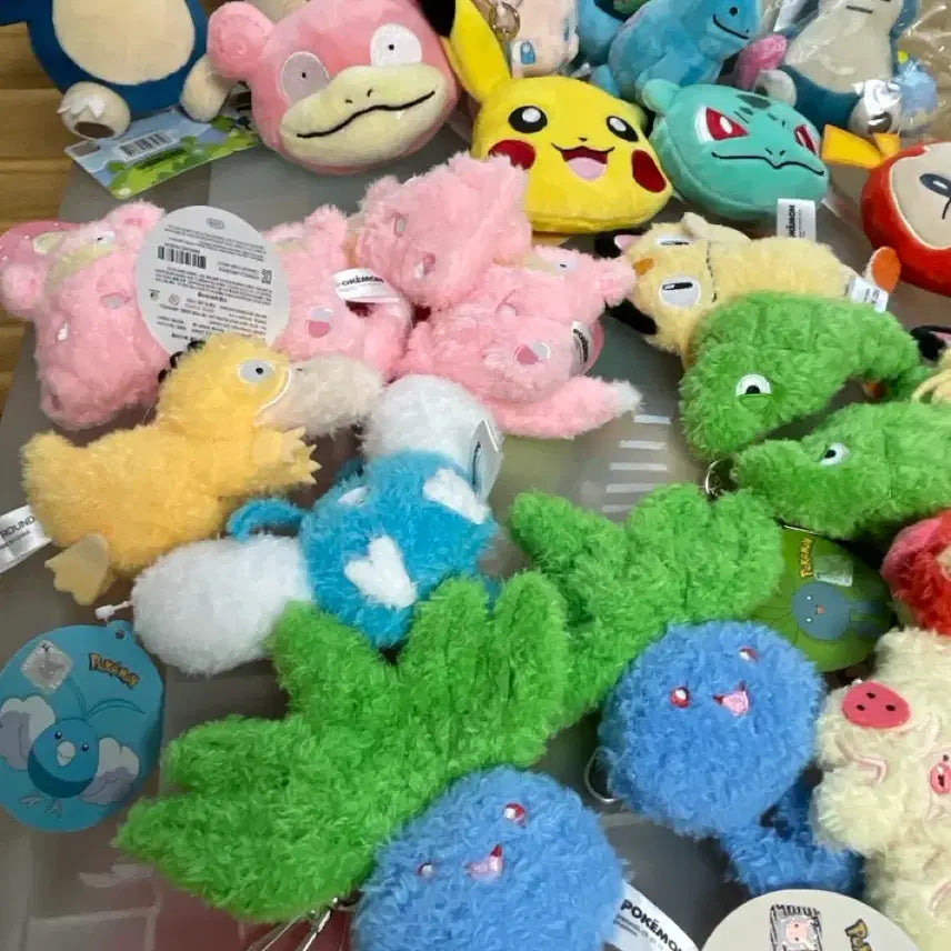 [BUNJANG] Pokemon Flat Keyring - Psyduck, Slowpoke, Eevee, Magikarp, Meowth, Quagsire, Binacle / 포켓몬 납작키링 고라파덕 야돈 이브이 잉어킹 나옹 누오 단데기 뚜벅초