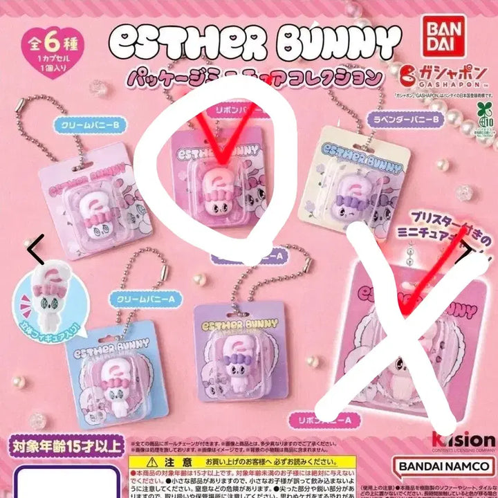 [BUNJANG] Esther Bunny Package Gacha Bundle Set / (신상)에스더버니 패키지 가챠
