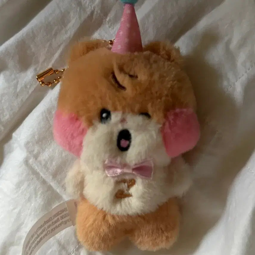 [BUNJANG] ZB1 Sung Hanbin Party Binini Plush Toy / 제로베이스원 성한빈 인형굿즈 <파티 비니니>