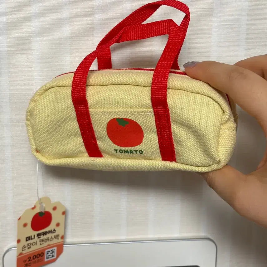 [BUNJANG] Daiso Mini Handle Canvas Bag / 다이소 미니 펜케이스 손잡이 캔버스백