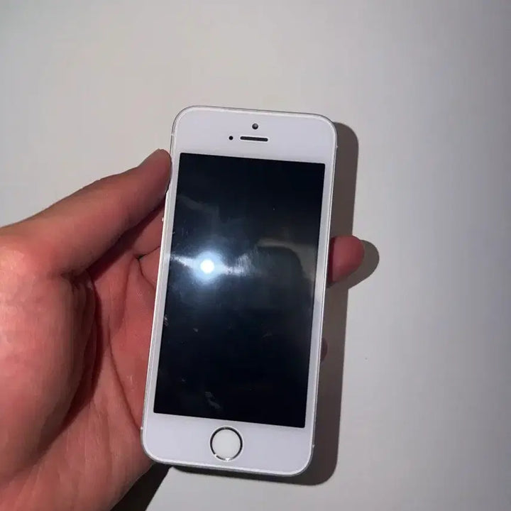 [BUNJANG] Apple iPhone SE 1st Gen 64GB Silver / 아이폰 SE 1세대 64GB 실버 S급 배터리 100퍼 하자 X