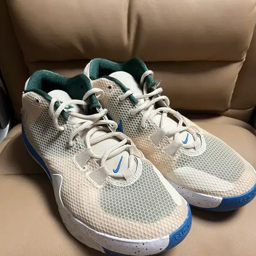 [BUNJANG] Nike Zoom Freak 1 Basketball Shoes / 나이키 줌 프릭 1