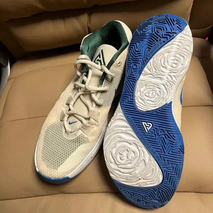 [BUNJANG] Nike Zoom Freak 1 Basketball Shoes / 나이키 줌 프릭 1