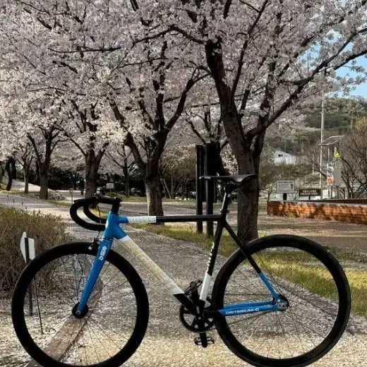 [BUNJANG] Engine11 Crit-D Blueskin Aluminum Frame Bicycle / 25년식 엔진 크릿디 블루스킨 판/대