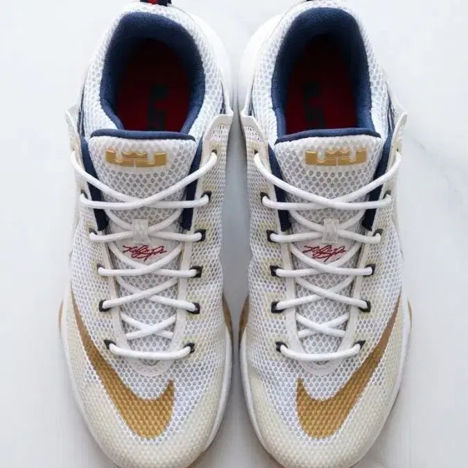 [BUNJANG] Nike LeBron Low 12 USA &amp; Under Armour Curry 11 Championship / 나이키 르브론 로우 12 USA / 언더아머 커리 11 챔피언쉽