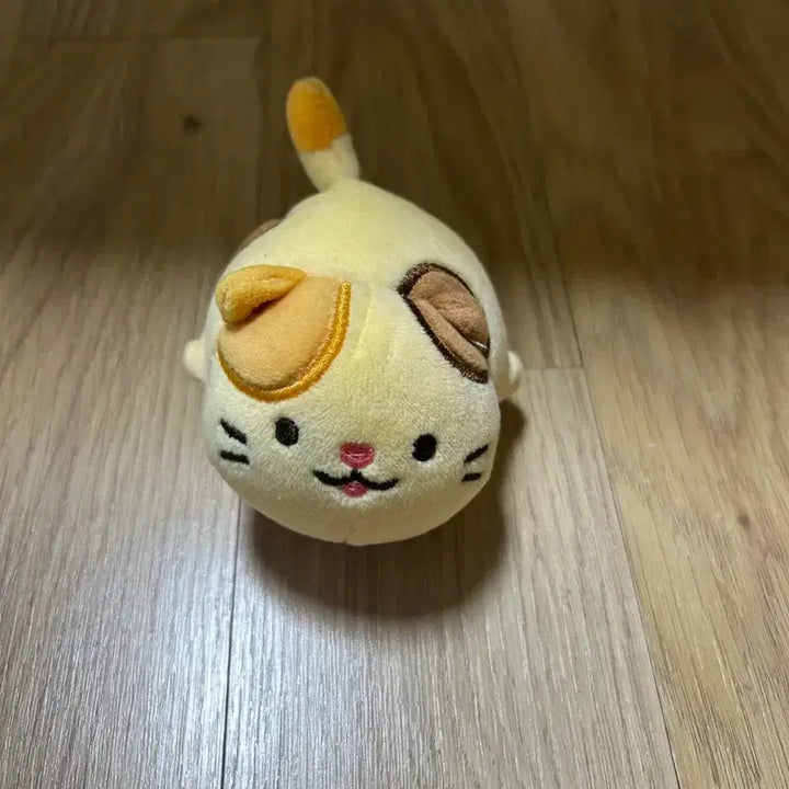[BUNJANG] Cheesy Cat Stress Ball Toy / 치즈냥이 스트레스볼