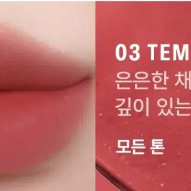 [BUNJANG] B.Rea.k Sin Water Blur Tint 2X / 브레이 씬 워터블러 틴트 투엑스