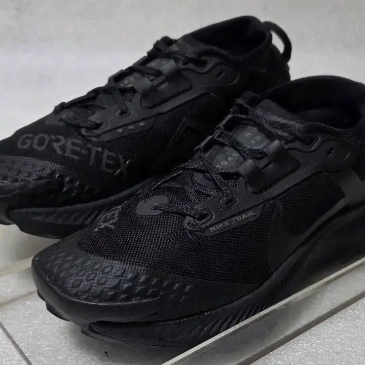 [BUNJANG] Nike Pegasus Trail 3 GORE-TEX Hiking Shoes / 나이키 NIKE 페가수스 트레일 3 고어텍스 트레킹화 240~245