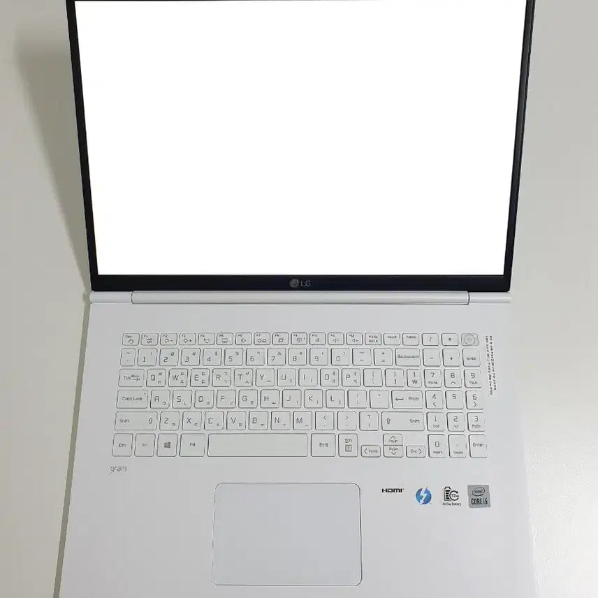 [BUNJANG] LG Gram 17Z995 VA5EK Laptop / LG 그램 17Z995 VA5EK (LG 노트북)