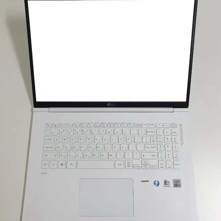 [BUNJANG] LG Gram 17Z995 VA5EK Laptop / LG 그램 17Z995 VA5EK (LG 노트북)