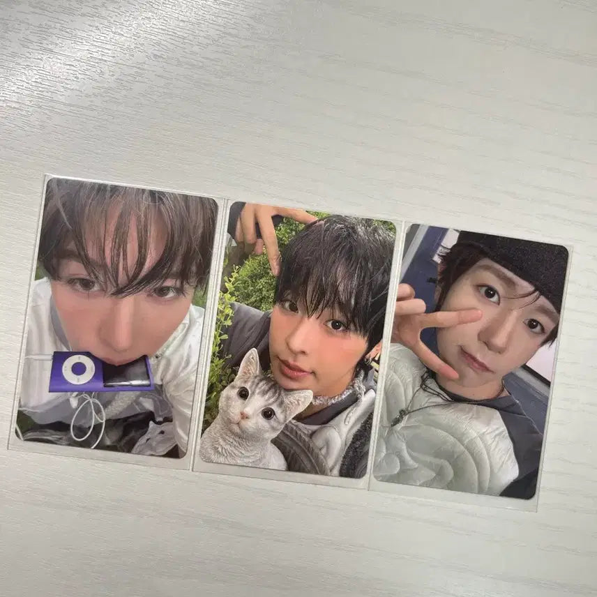 [SOLD OUT] 엔시티 위시 컬러 쥬얼 앨포 시온 리쿠 료 일괄