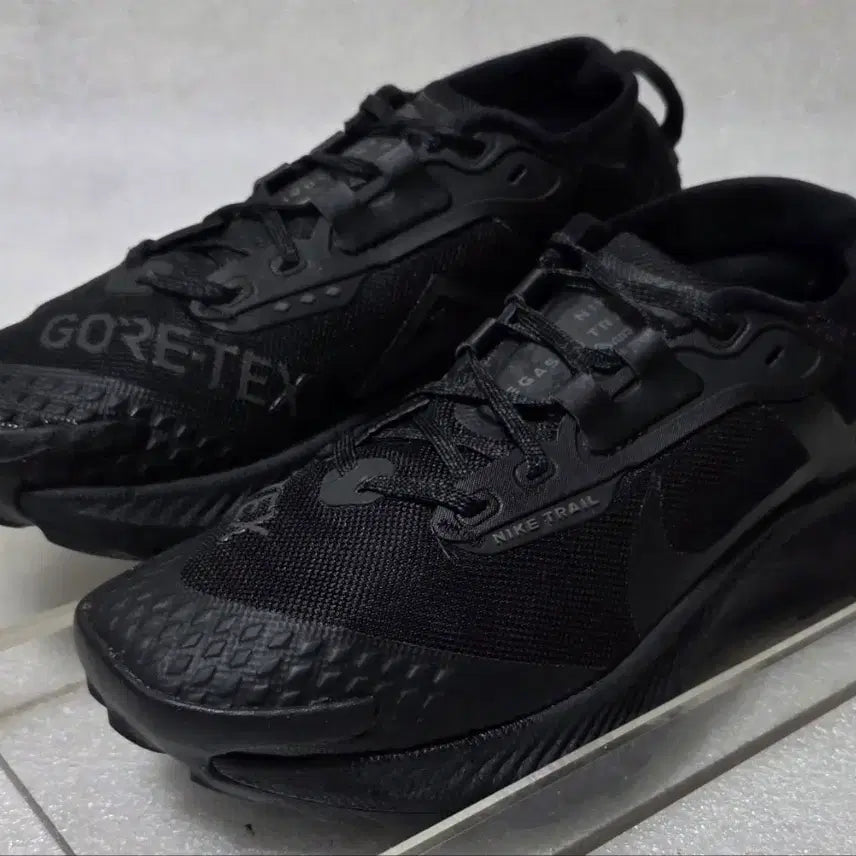 [BUNJANG] Nike Pegasus Trail 3 GORE-TEX Trekking Shoes (EU 38.5 / KR 240-245) / 나이키 NIKE 페가수스 트레일 3 고어텍스 트레킹화 240~245