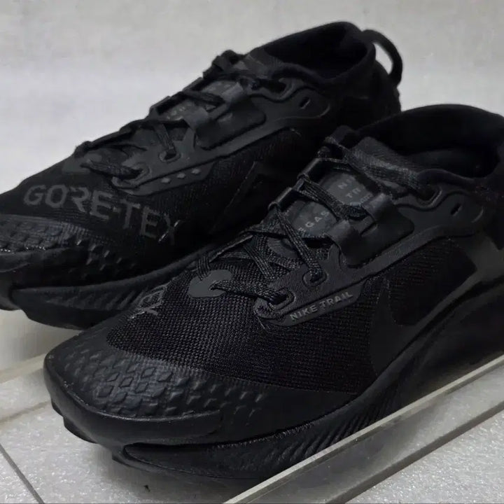 [BUNJANG] Nike Pegasus Trail 3 GORE-TEX Trekking Shoes (EU 38.5 / KR 240-245) / 나이키 NIKE 페가수스 트레일 3 고어텍스 트레킹화 240~245