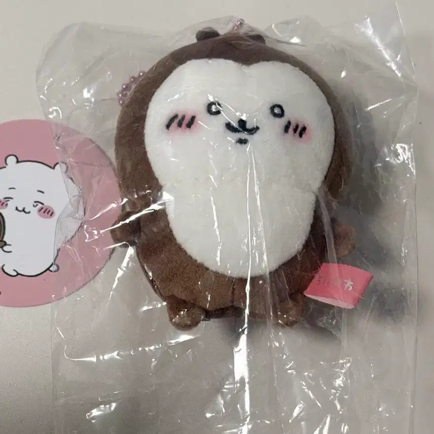 [BUNJANG] Chiikawa Beetle Plush / 치이카와 풍뎅이 누이 새상품
