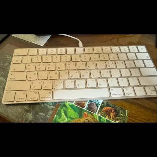 [BUNJANG] Apple Magic Keyboard A1644 (2021) / Apple Magic Keyboard (2021) A1644
