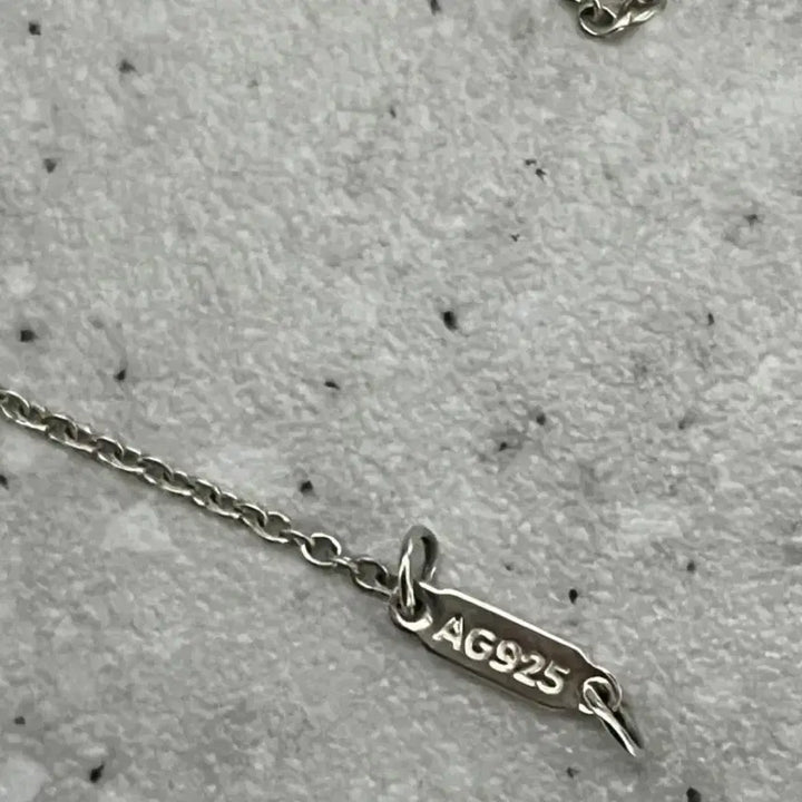 [BUNJANG] Tiffany &amp; Co. Double Heart Necklace Silver / 티파니앤코 더블 하트 목걸이 실버