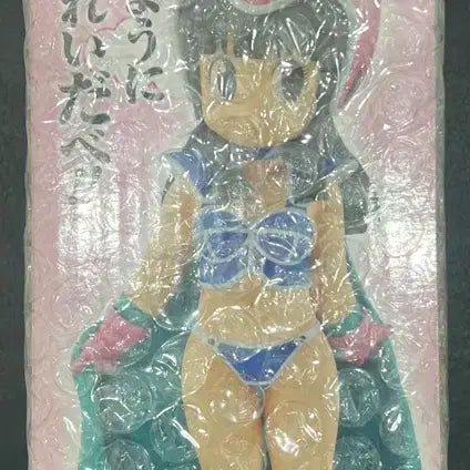 [BUNJANG] Dragon Ball Ichiban Kuji E Prize Chi-Chi Figure (Sealed) / (금고내수용)(미개봉)드래곤볼 쿠지 제일복권 E상 치치 피규어