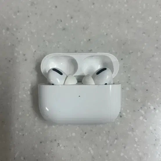 [BUNJANG] Apple AirPods Pro (1st Generation) / 에어팟프로1