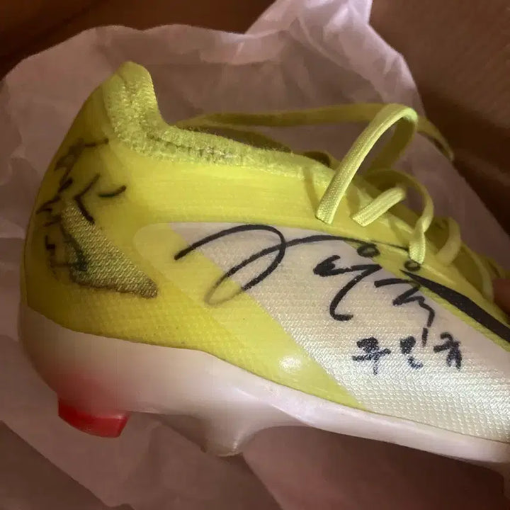 [BUNJANG] 2023 Ulsan Hyundai Autographed Player Football Boots / 2023 울산현대 선수들 싸인 신발