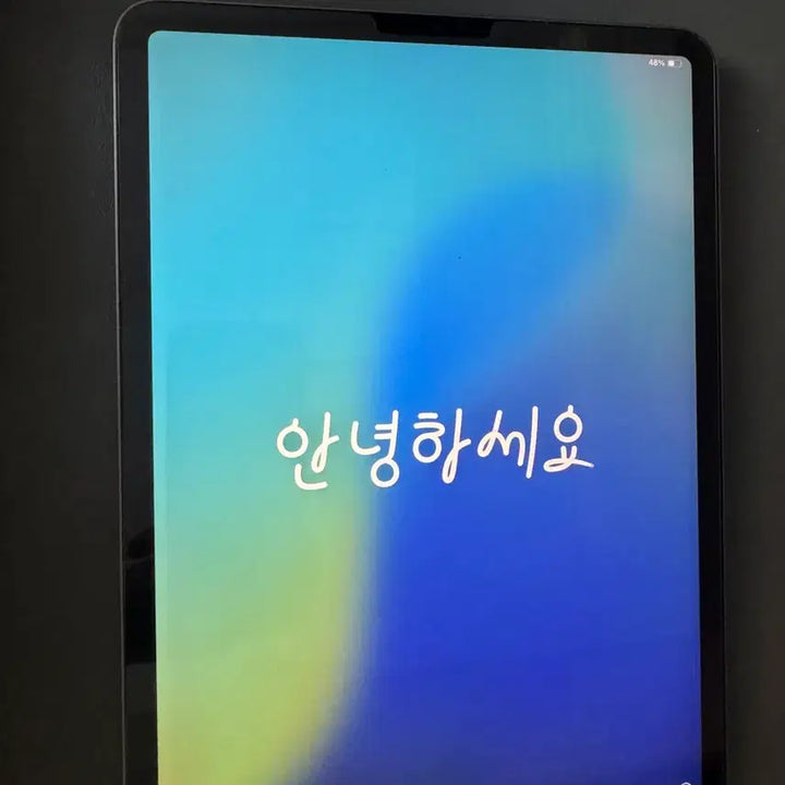[SOLD OUT] 아이패드 프로 11인치 3세대 :Apple Pencil 2세대