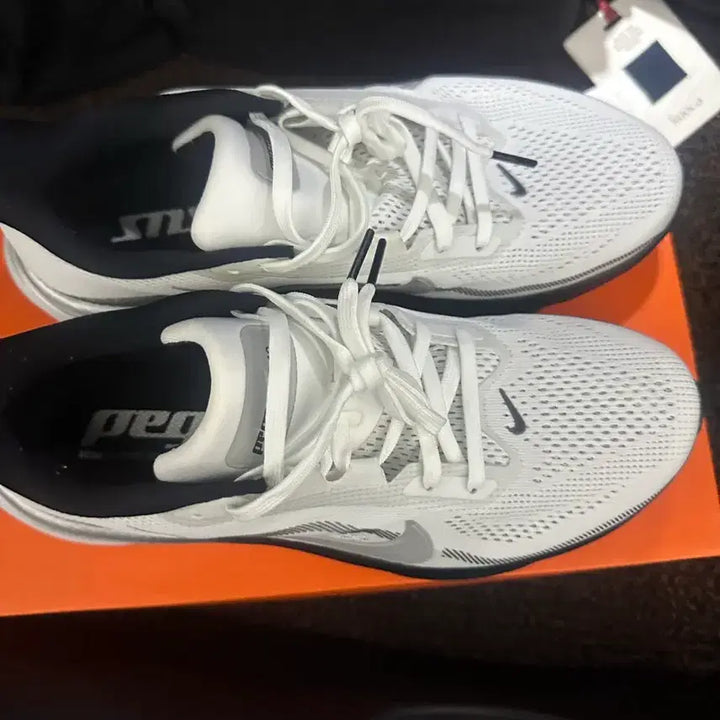 [BUNJANG] Nike Air Zoom Pegasus Running Shoes / 나이키 에어 줌 페가수스