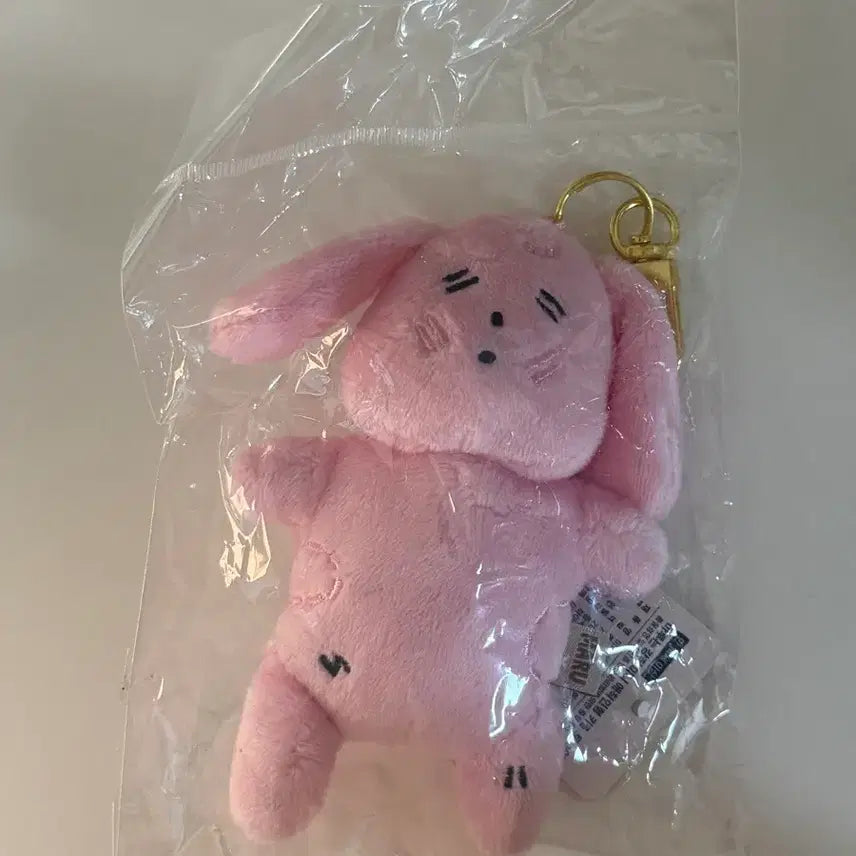 [BUNJANG] Maru is a Dog Mini Hugging Doll Keyring / 마루는강쥐 미니 애착인형 키링