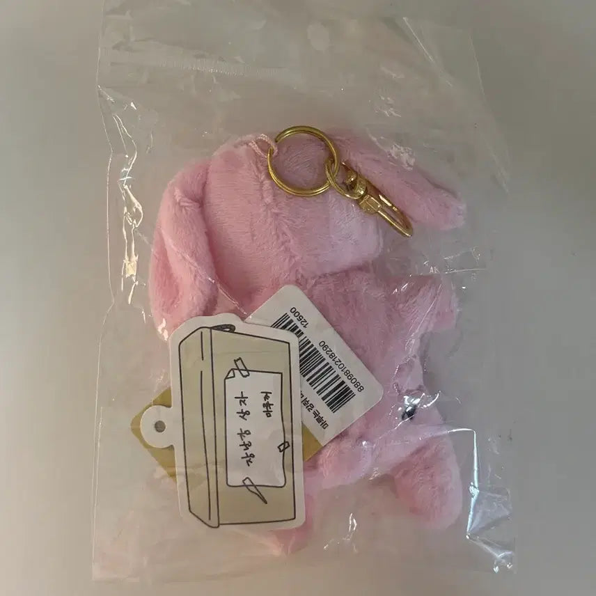[BUNJANG] Maru is a Dog Mini Hugging Doll Keyring / 마루는강쥐 미니 애착인형 키링