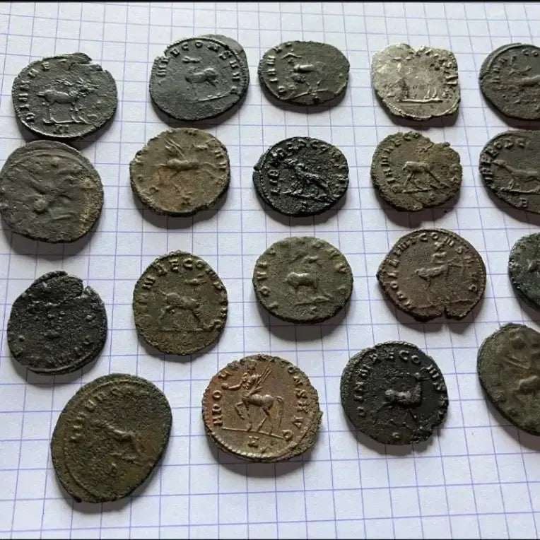 [BUNJANG] Gallenus Zoo Series Coin / 로마 주화 동전