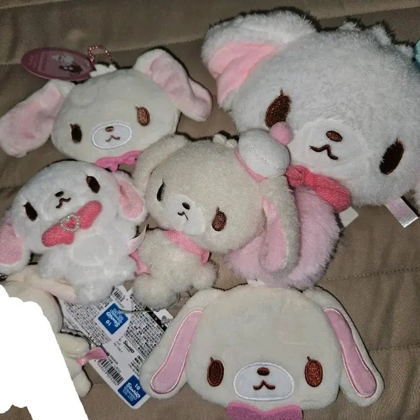 [SOLD OUT] [급전] 산리오 슈가바니즈 일괄 판매