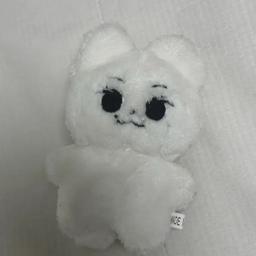 [SOLD OUT] 세븐틴 준 문준휘 인형 흰냥휘 양도